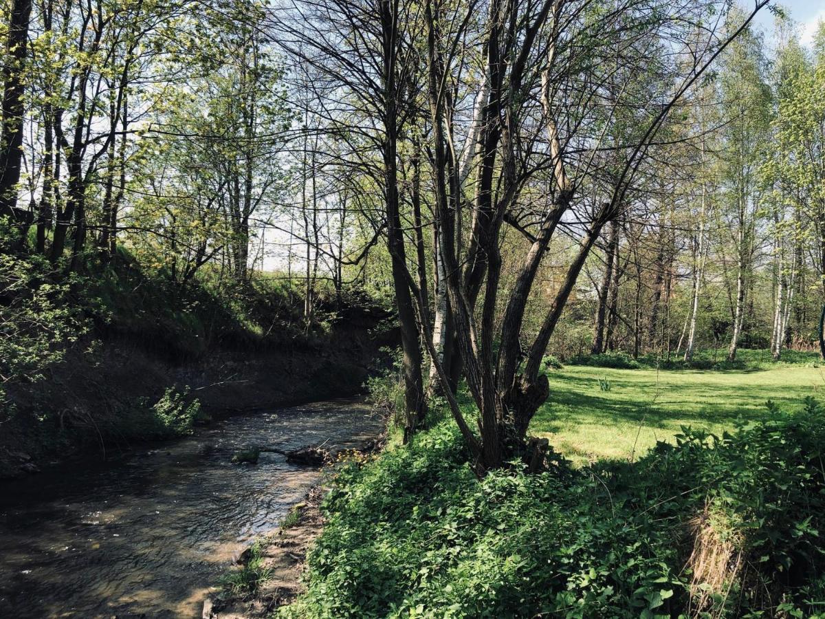 Domek Caloroczny Na Wylacznosc Niebieska Osada Nad Gorskim Potokiem Stary Waliszow エクステリア 写真