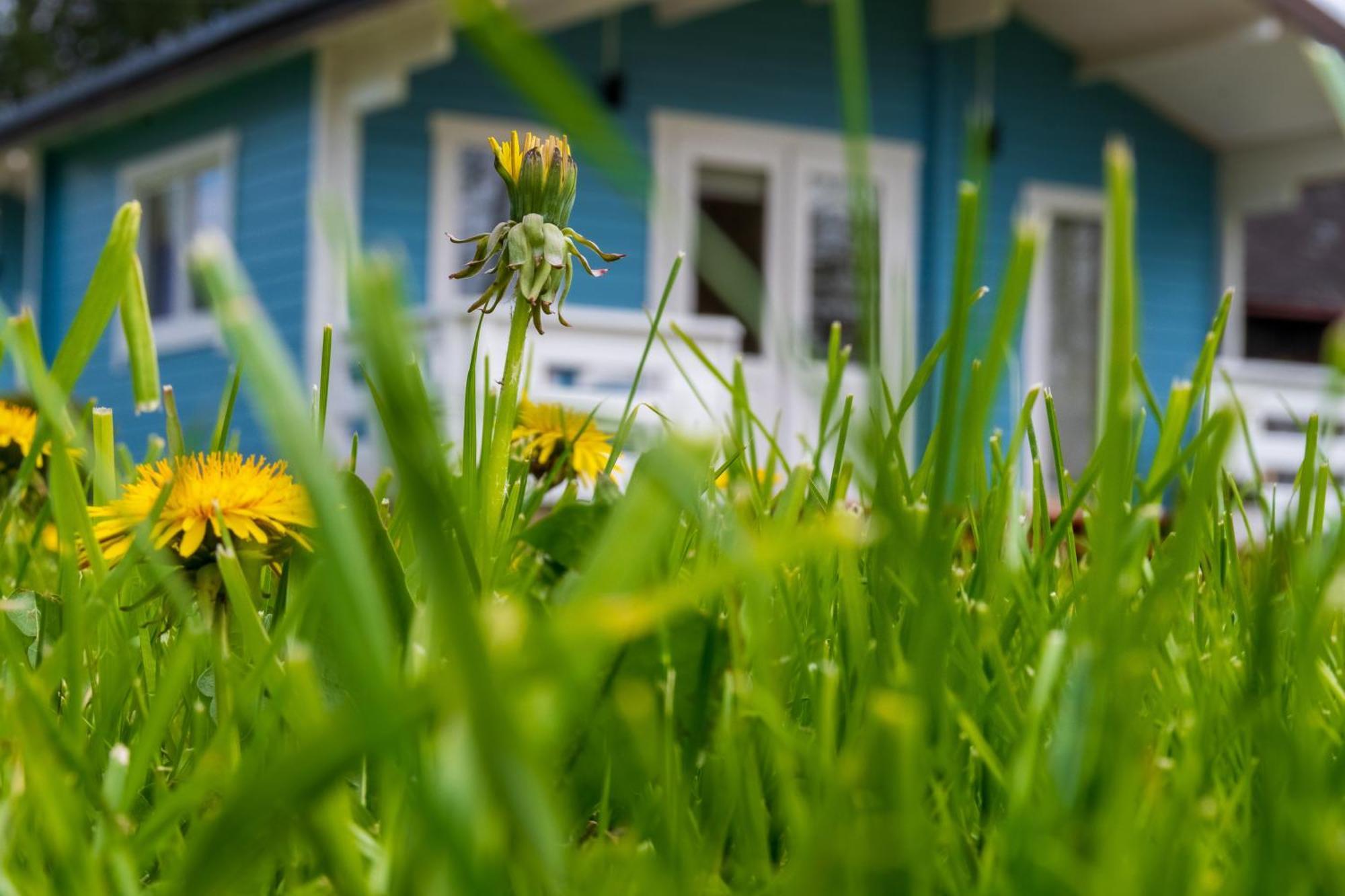 Domek Caloroczny Na Wylacznosc Niebieska Osada Nad Gorskim Potokiem Stary Waliszow エクステリア 写真