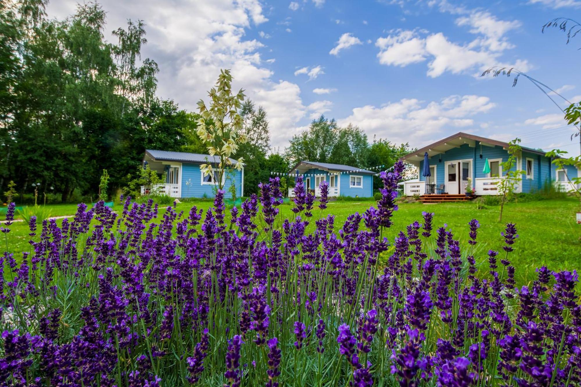 Domek Caloroczny Na Wylacznosc Niebieska Osada Nad Gorskim Potokiem Stary Waliszow エクステリア 写真